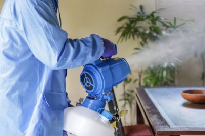 Commercial Fumigation in Wilmington, NC