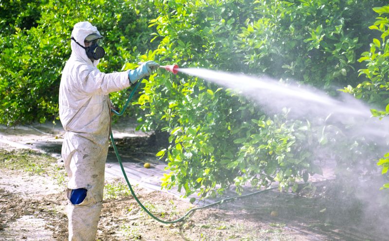 Fumigation Service in Coeur D Alene, ID