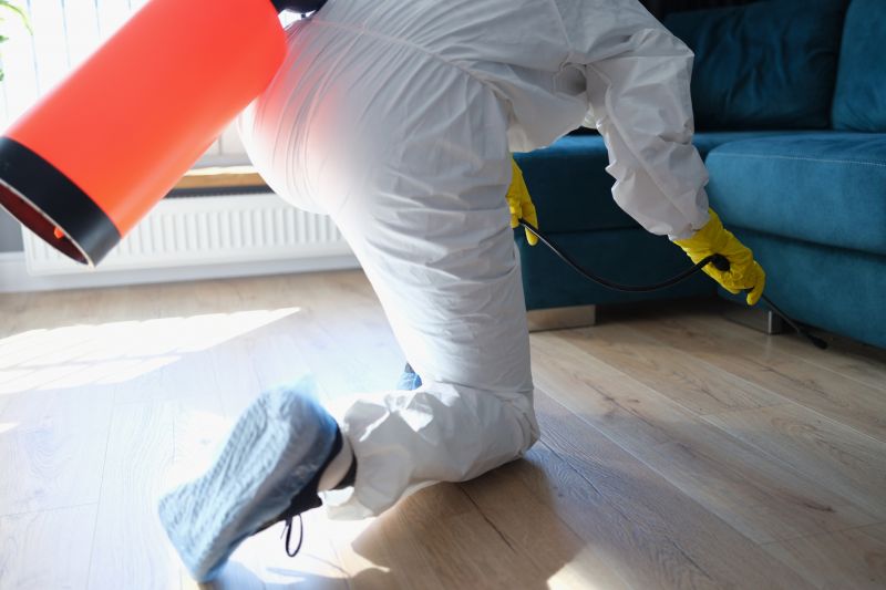 Roach Fumigation in Katy, TX