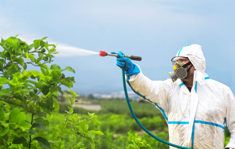 Roach Fumigation in Franklin, TN