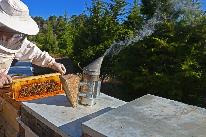 Bees Relocation