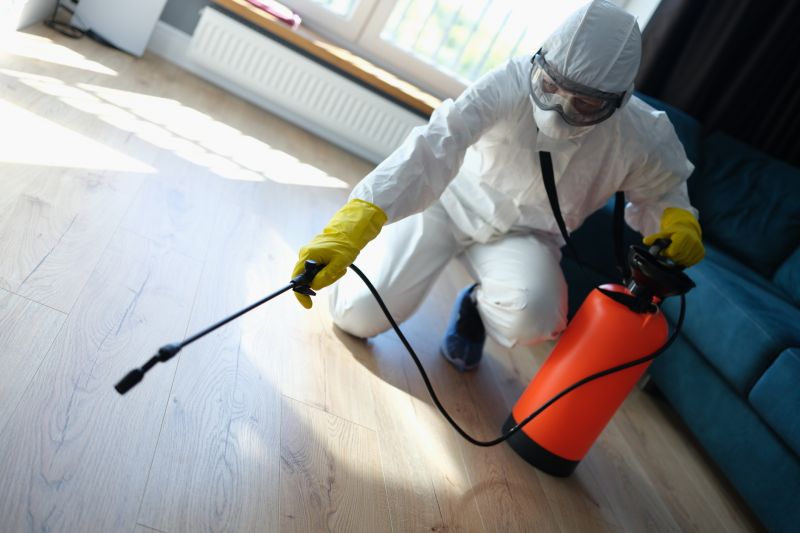 Carpet Beetle Extermination in Frisco, TX