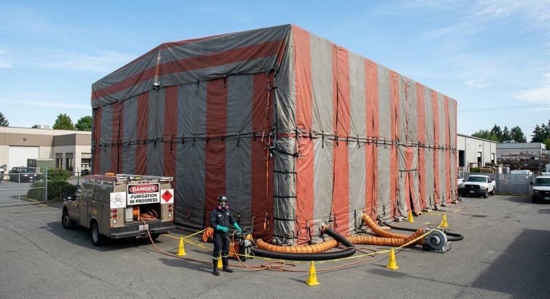 Commercial Fumigation in Asheville, NC