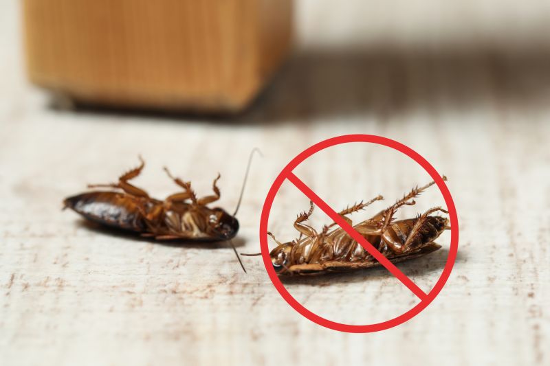 Cockroach Aggregation