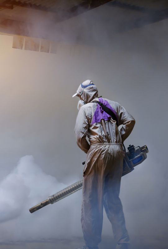 Pest Fumigation Service in Tampa, FL