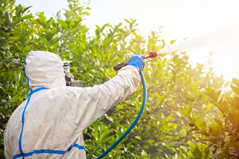 Spider Fumigation Service in Fort Myers, FL