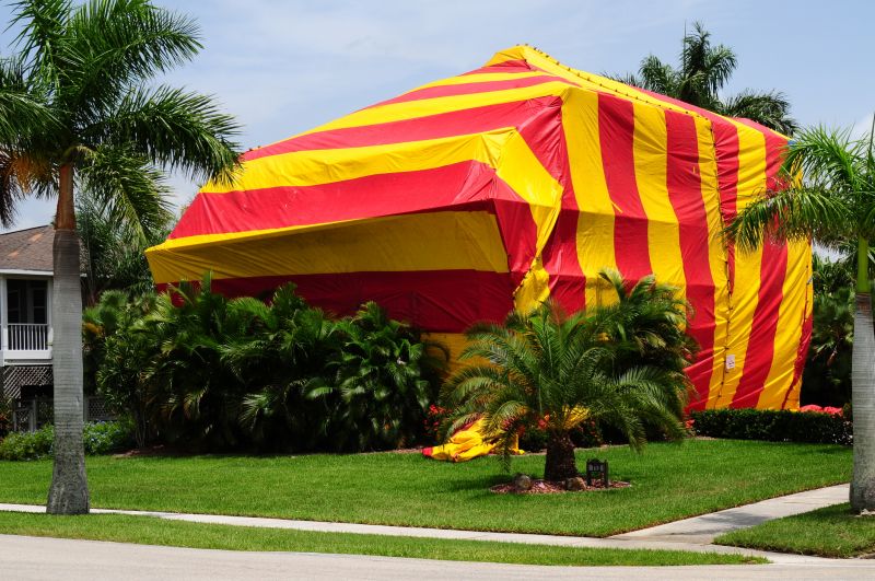 Termite Tenting in Davis County, UT