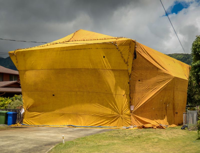 Termite Tenting in Madison, WI