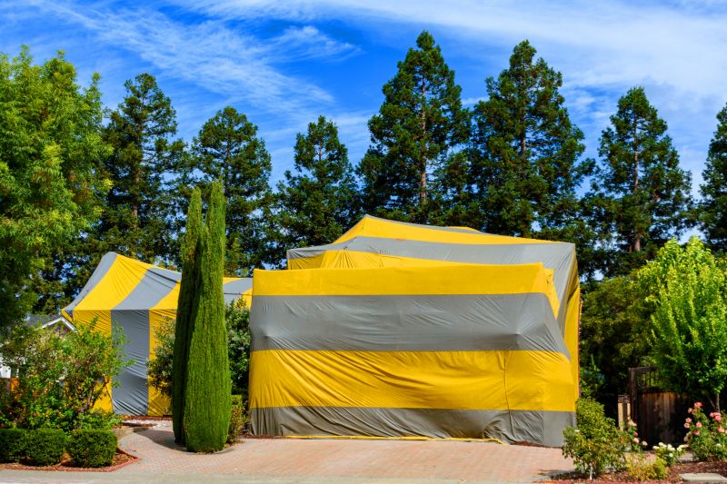 Termite Tenting in Columbus, OH